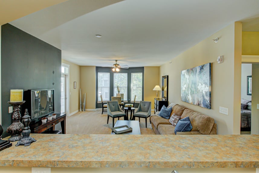 Living room in Carmel apartment